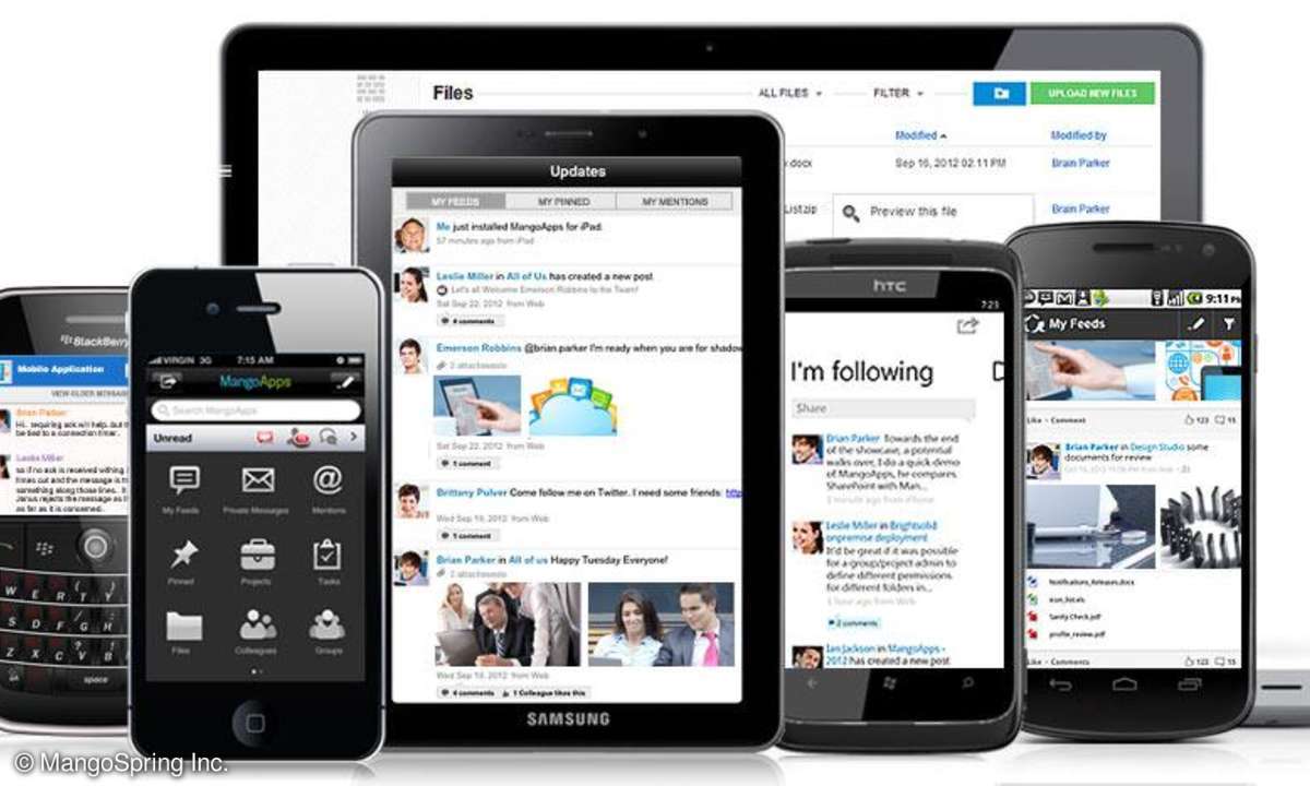 Enterprise Social Networks