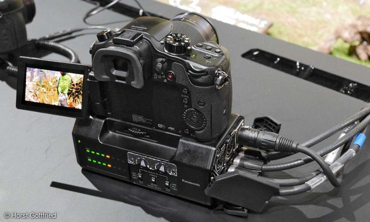 Panasonic Lumix GH4: Bildergalerie